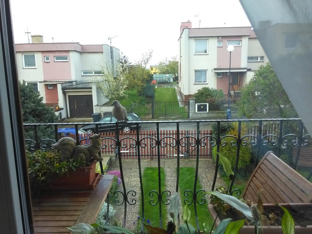 Ubytování Irena Benesov  Esterno foto